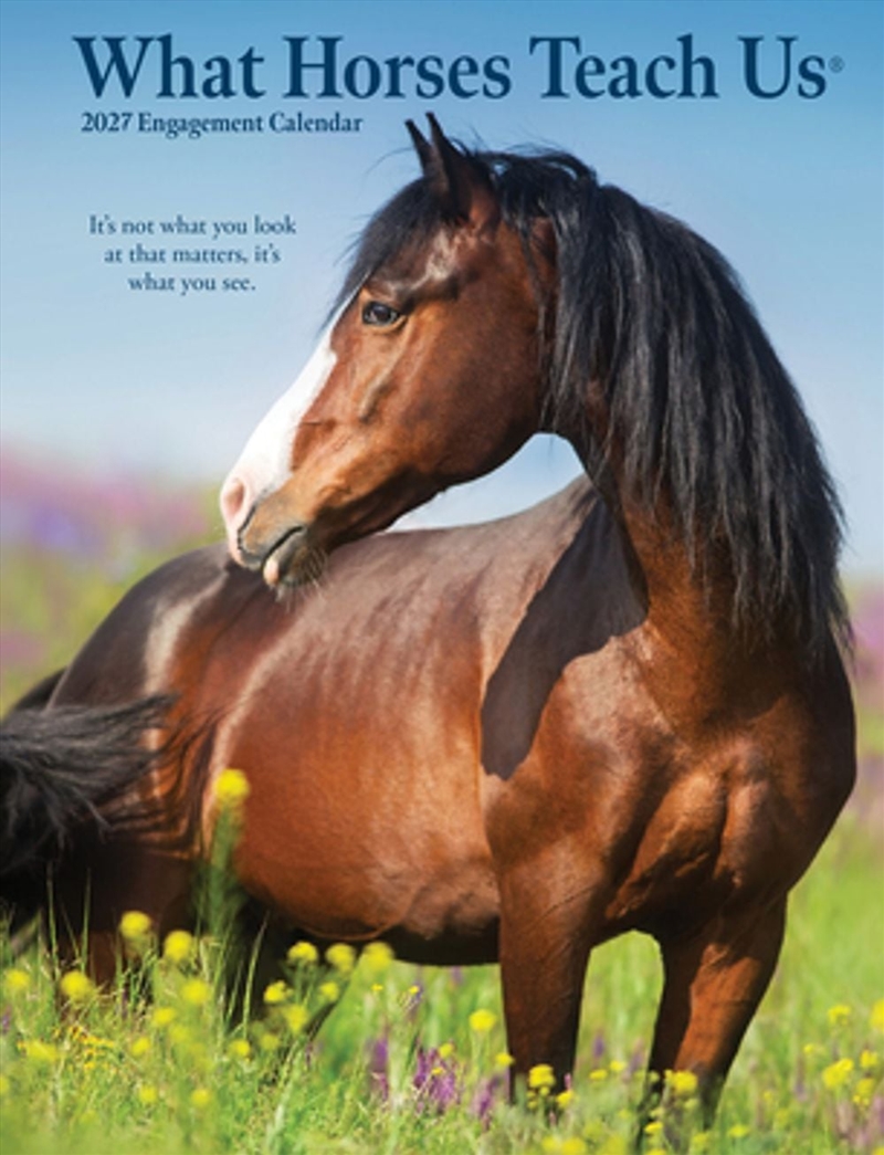 What Horses Teach Us 2027 Engagement Calendar/Product Detail/Calendars & Diaries