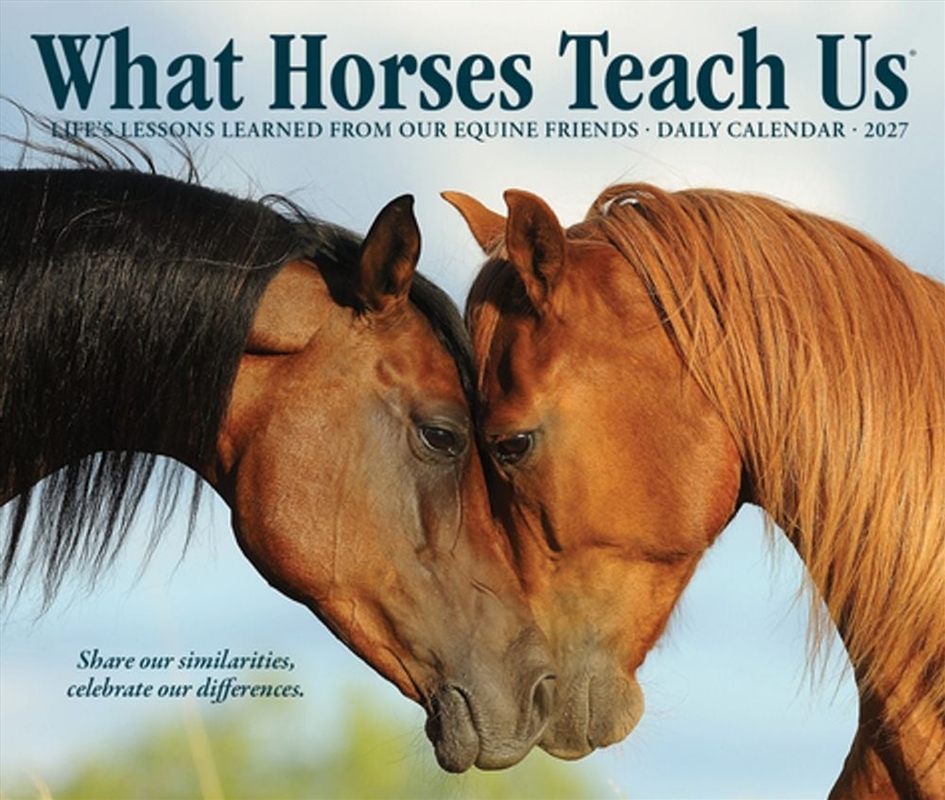 What Horses Teach Us 2027 Box Calendar/Product Detail/Calendars & Diaries
