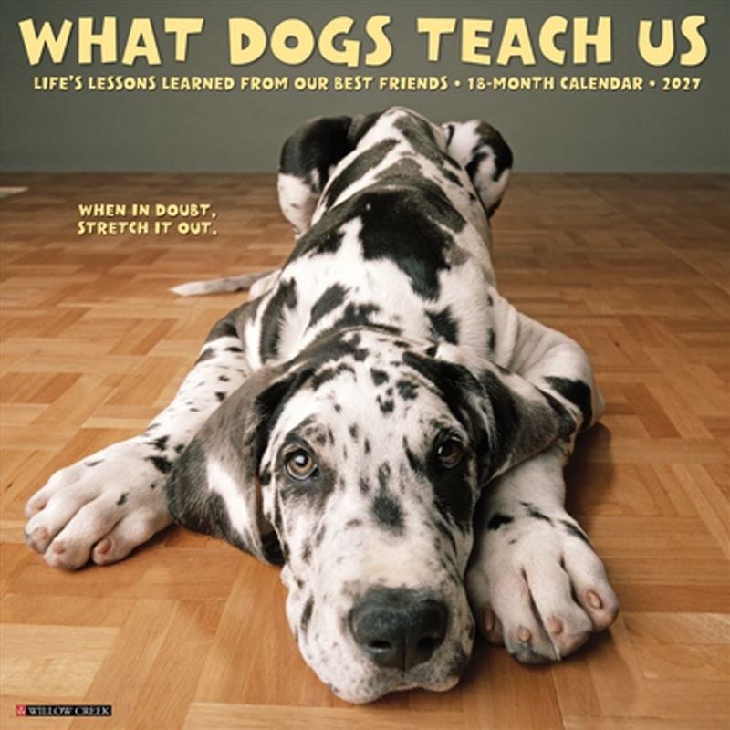 What Dogs Teach Us 2027 Wall Calendar/Product Detail/Calendars & Diaries