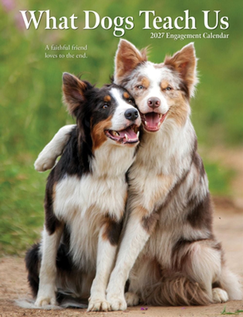 What Dogs Teach Us 2027 Engagement Calendar/Product Detail/Calendars & Diaries