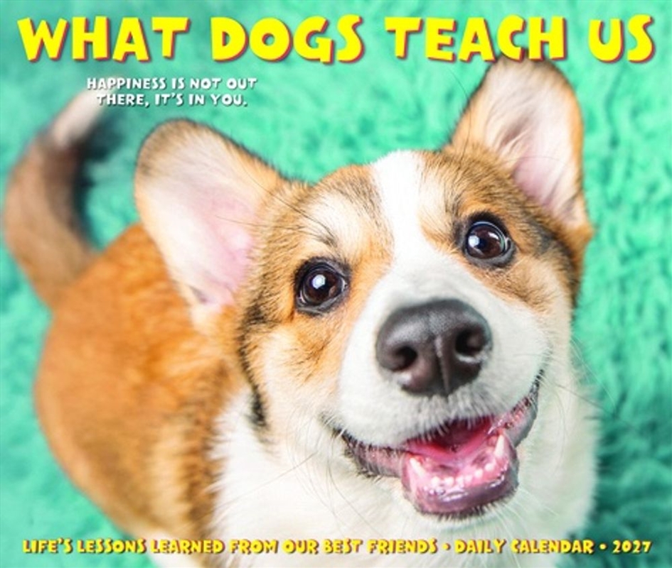 What Dogs Teach Us 2027 Box Calendar/Product Detail/Calendars & Diaries