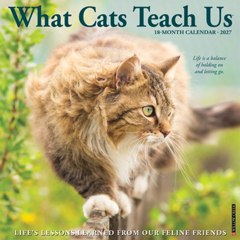 What Cats Teach Us 2027 Wall Calendar/Product Detail/Calendars & Diaries