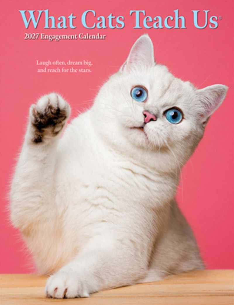 What Cats Teach Us 2027 Engagement Calendar/Product Detail/Calendars & Diaries