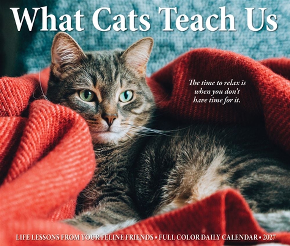 What Cats Teach Us 2027 Box Calendar/Product Detail/Calendars & Diaries