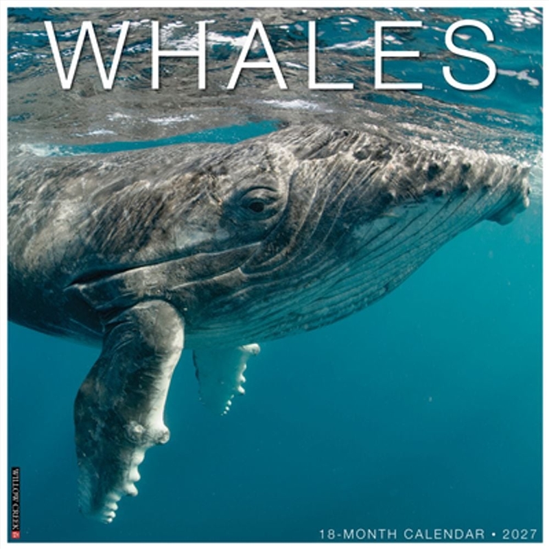 Whales 2027 Wall Calendar/Product Detail/Calendars & Diaries
