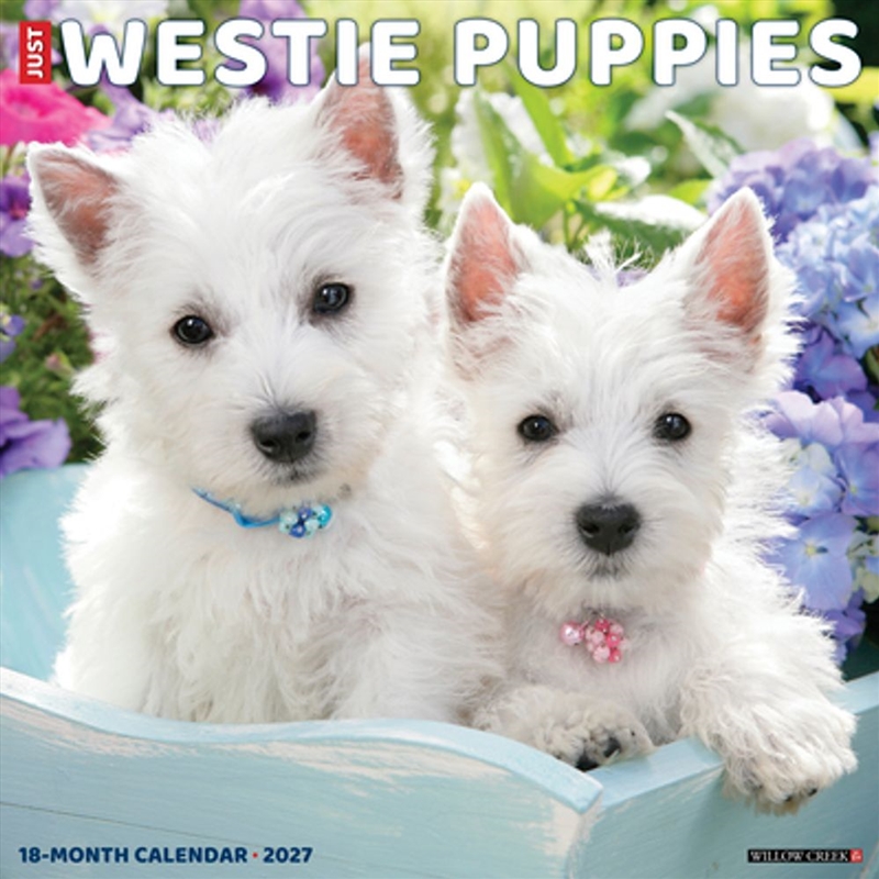 Westie Puppies 2027 Wall Calendar/Product Detail/Calendars & Diaries