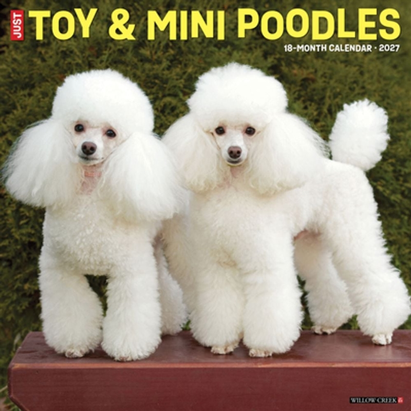 Toy & Miniature Poodles 2027 Wall Calendar/Product Detail/Calendars & Diaries