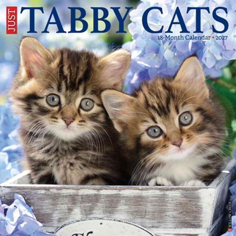 Tabby Cats 2027 Wall Calendar/Product Detail/Calendars & Diaries