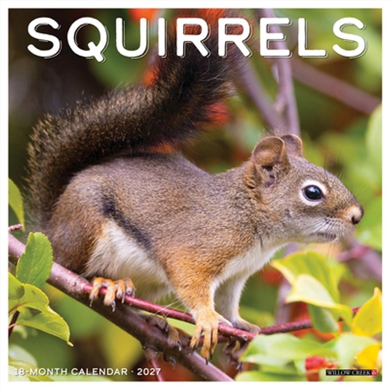 Squirrels 2027 Wall Calendar/Product Detail/Calendars & Diaries