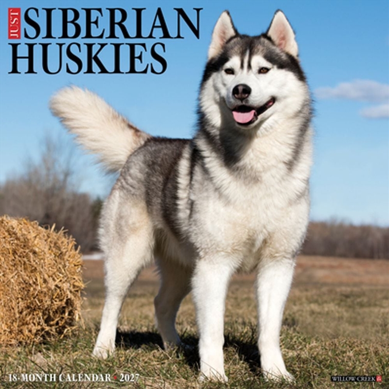 Siberian Huskies 2027 Wall Calendar/Product Detail/Calendars & Diaries