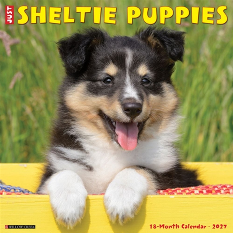 Sheltie Puppies 2027 Wall Calendar/Product Detail/Calendars & Diaries