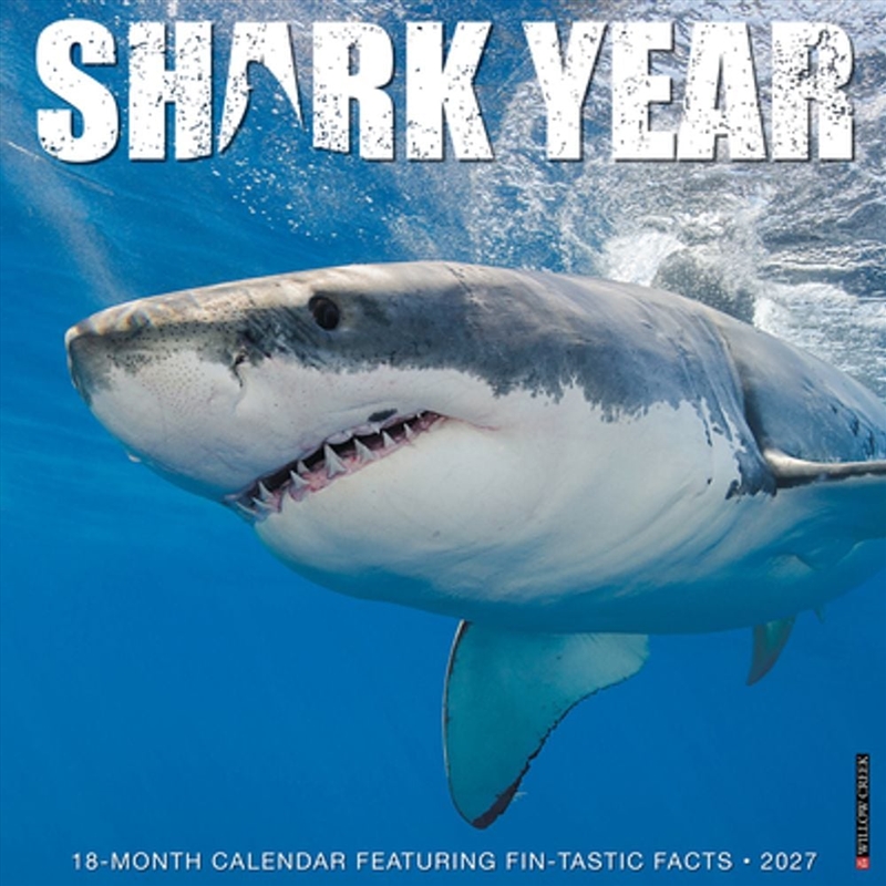 Shark Year 2027 Wall Calendar/Product Detail/Calendars & Diaries