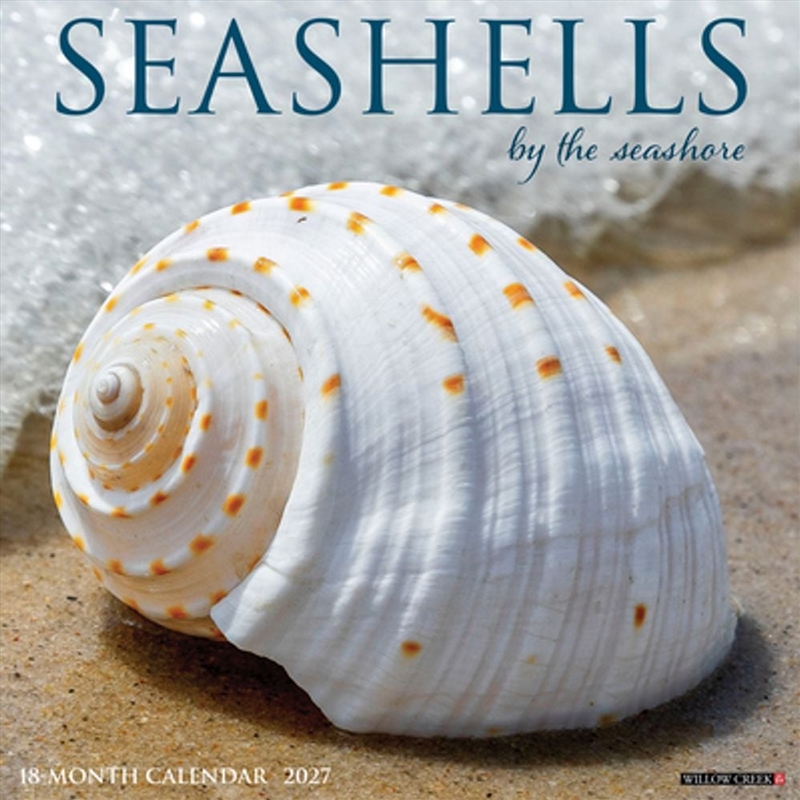 Seashells 2027 Wall Calendar/Product Detail/Calendars & Diaries