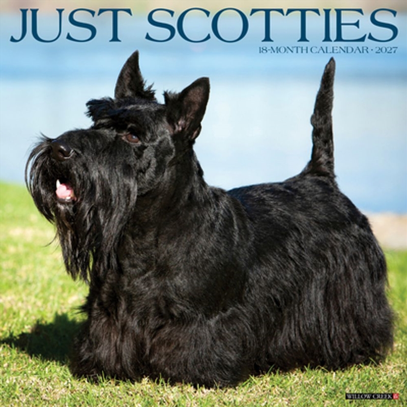 Scotties 2027 Wall Calendar/Product Detail/Calendars & Diaries