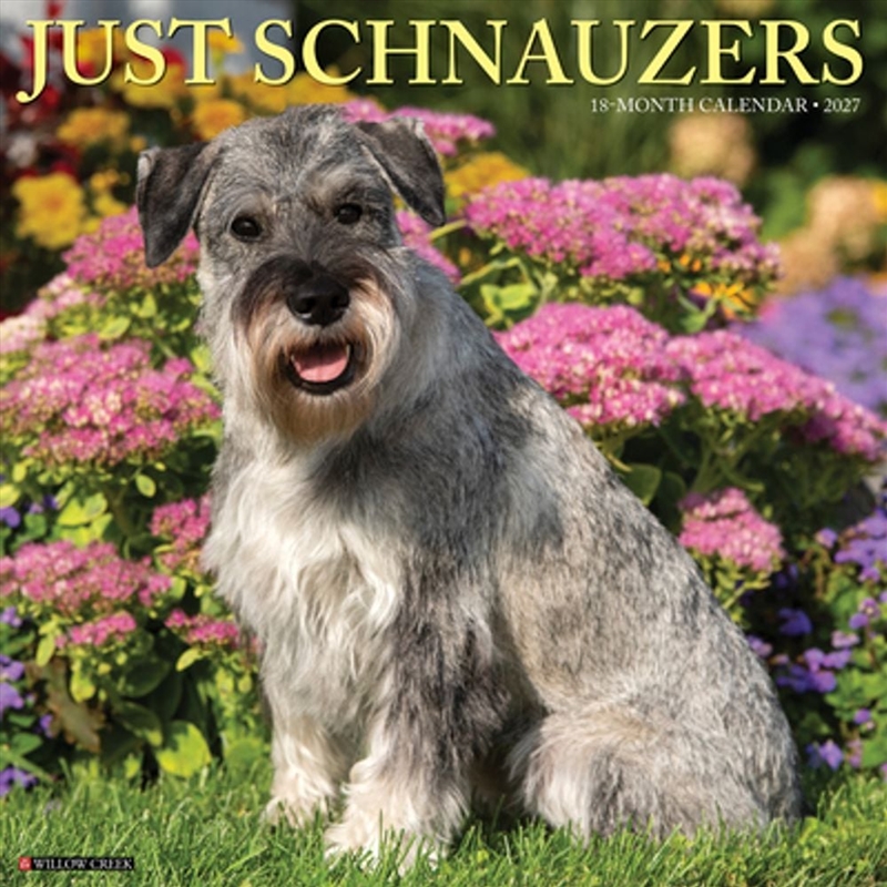 Schnauzers 2027 Wall Calendar/Product Detail/Calendars & Diaries