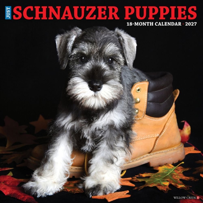 Schnauzer Puppies 2027 Wall Calendar/Product Detail/Calendars & Diaries