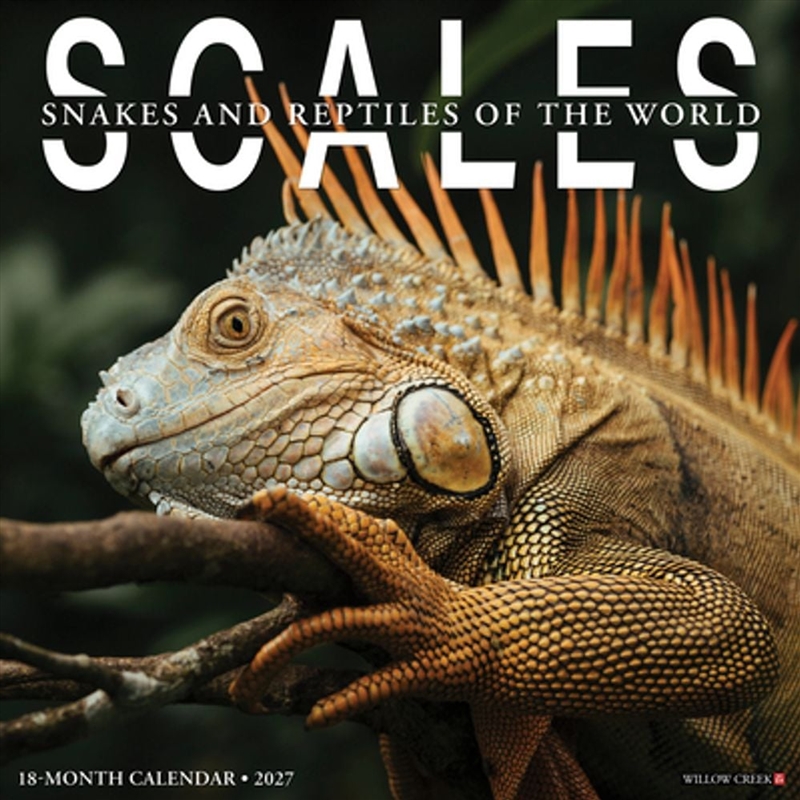 Scales 2027 Wall Calendar/Product Detail/Calendars & Diaries