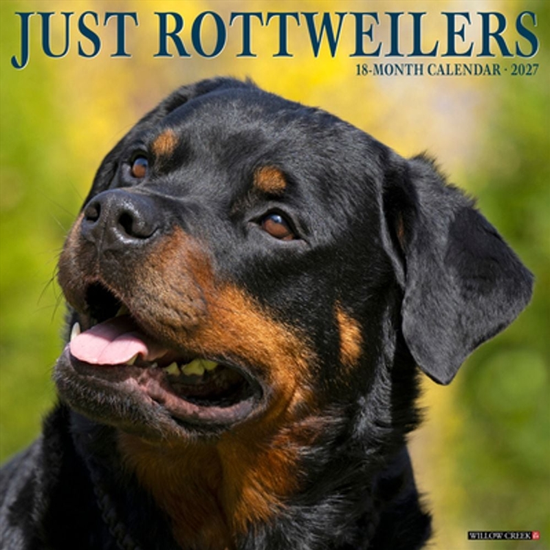 Rottweilers 2027 Wall Calendar/Product Detail/Calendars & Diaries
