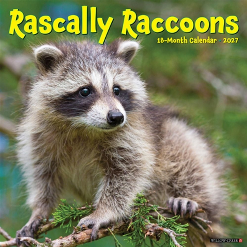 Rascally Raccoons 2027 Wall Calendar/Product Detail/Calendars & Diaries