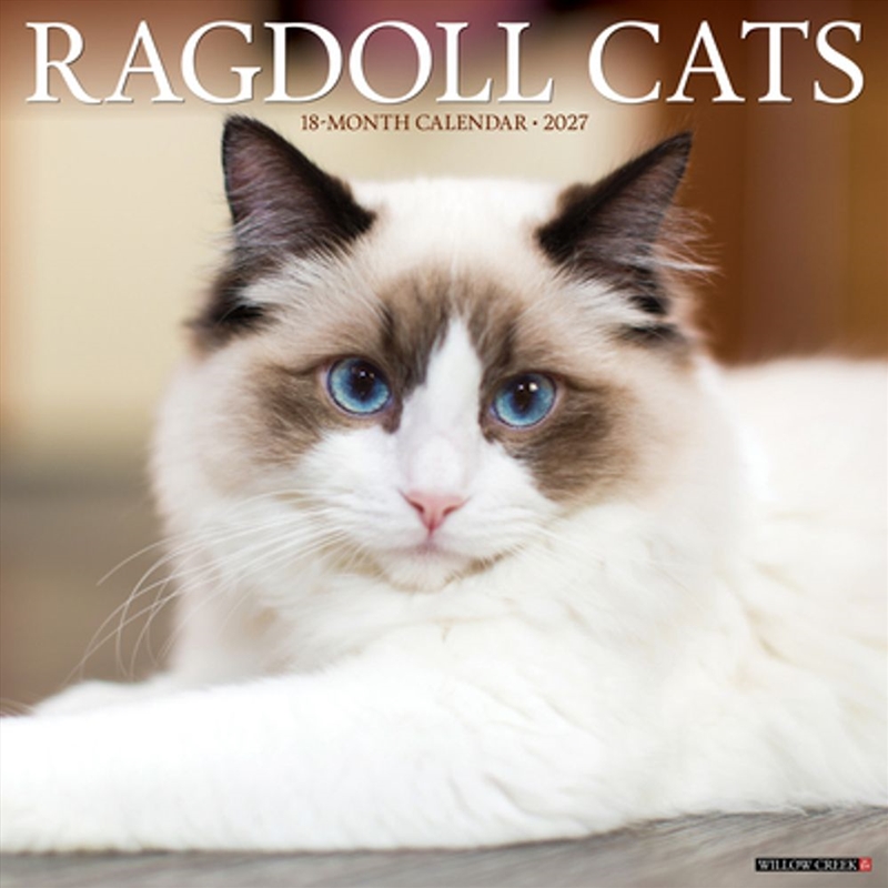 Ragdoll Cats 2027 Wall Calendar/Product Detail/Calendars & Diaries