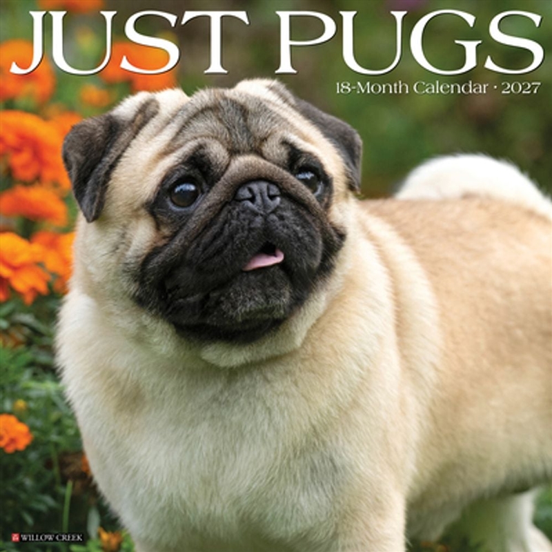 Pugs 2027 Wall Calendar/Product Detail/Calendars & Diaries