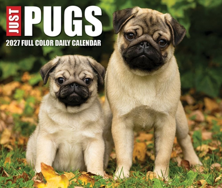 Pugs 2027 Box Calendar/Product Detail/Calendars & Diaries