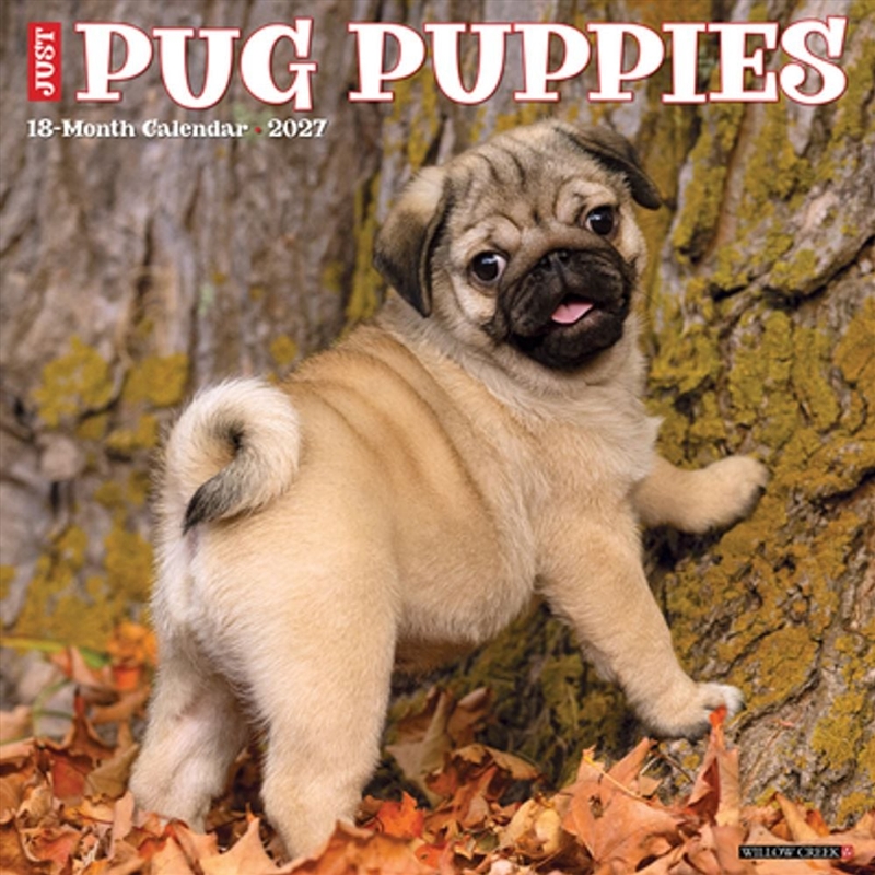 Pug Puppies 2027 Wall Calendar/Product Detail/Calendars & Diaries