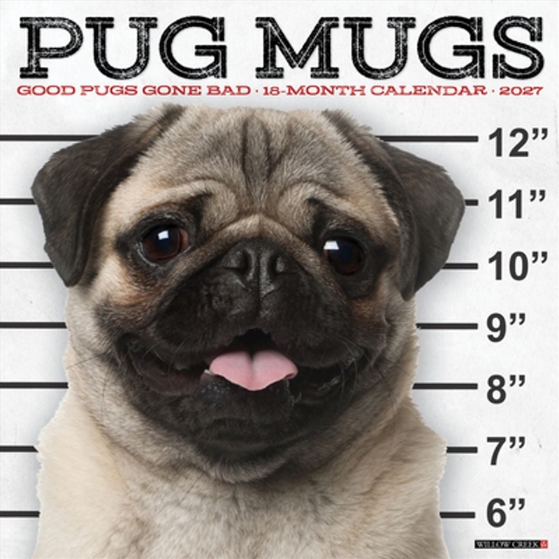 Pug Mugs 2027 Wall Calendar/Product Detail/Calendars & Diaries