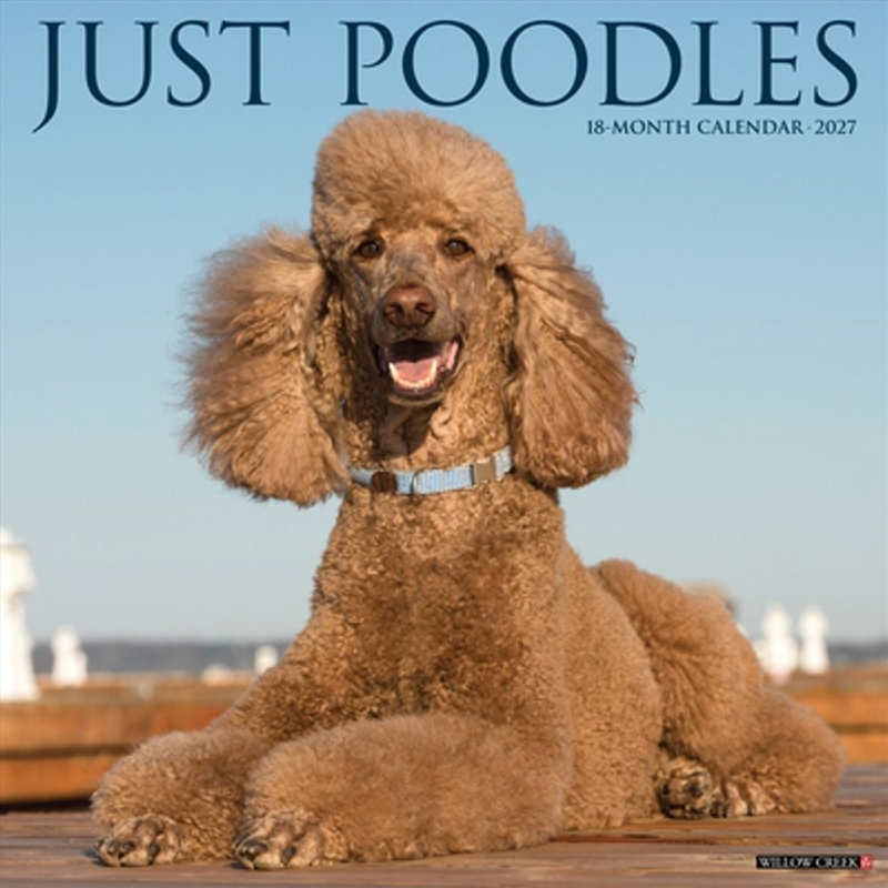 Poodles 2027 Wall Calendar/Product Detail/Calendars & Diaries