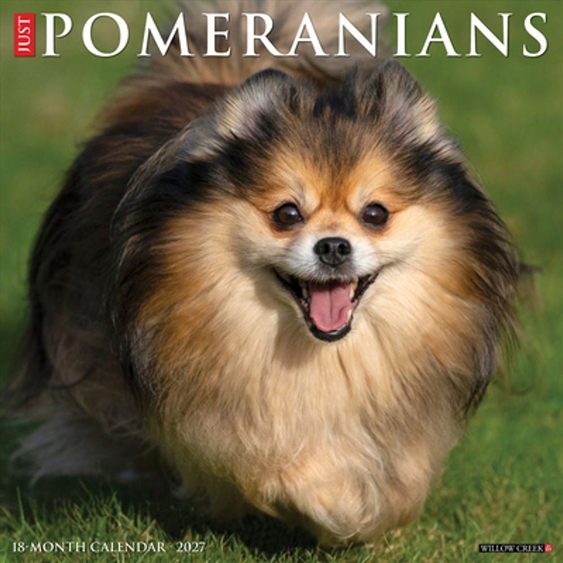 Pomeranians 2027 Wall Calendar/Product Detail/Calendars & Diaries
