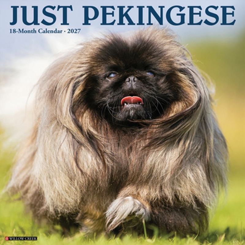 Pekingese 2027 Wall Calendar/Product Detail/Calendars & Diaries