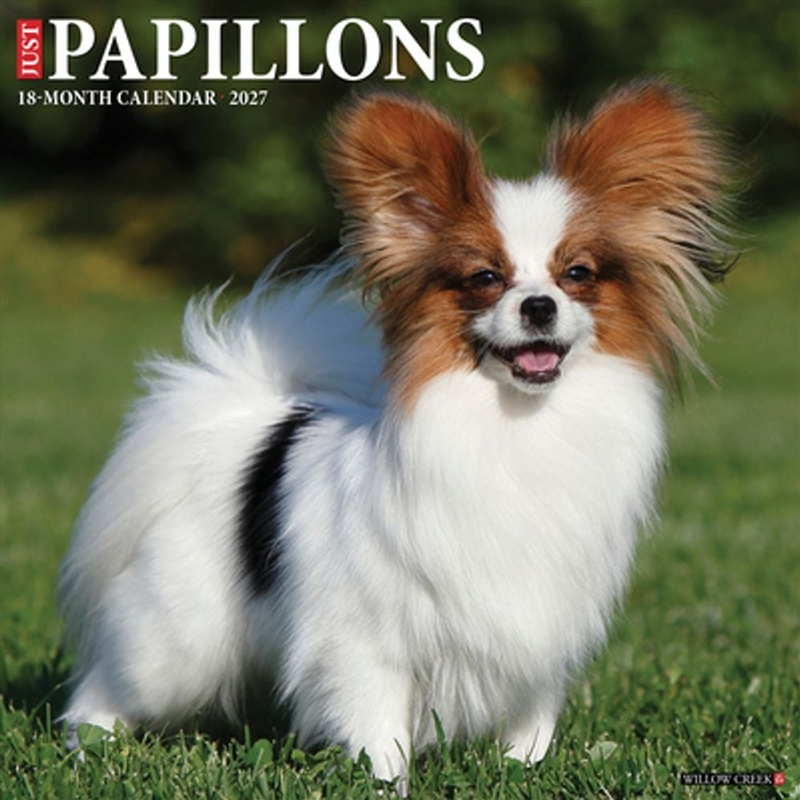 Papillons 2027 Wall Calendar/Product Detail/Calendars & Diaries