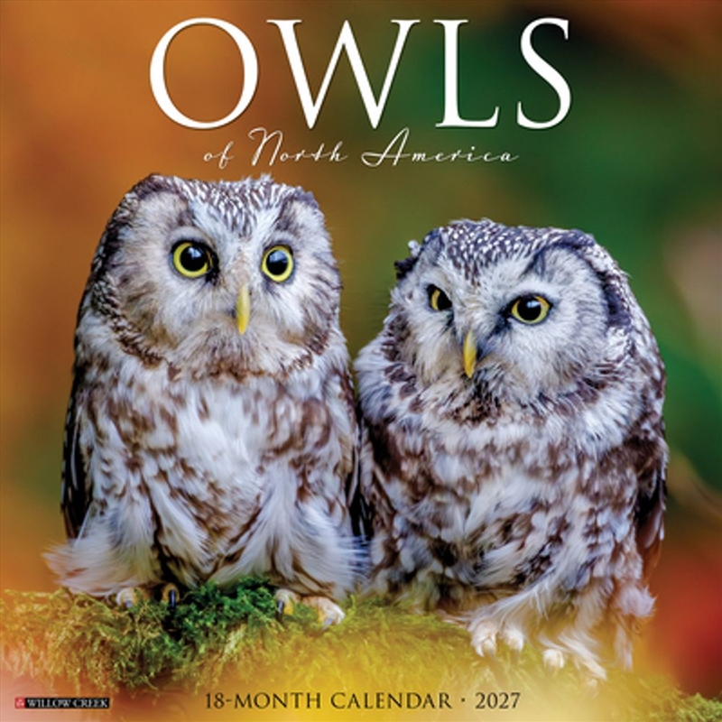 Owls of North America 2027 Wall Calendar/Product Detail/Calendars & Diaries