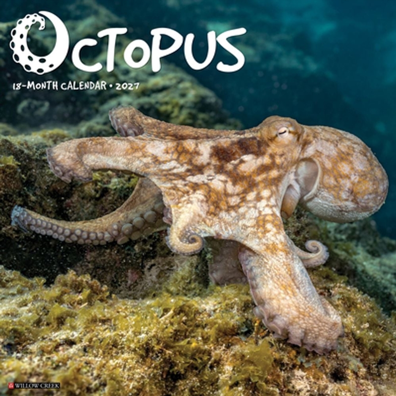 Octopus 2027 Wall Calendar/Product Detail/Calendars & Diaries