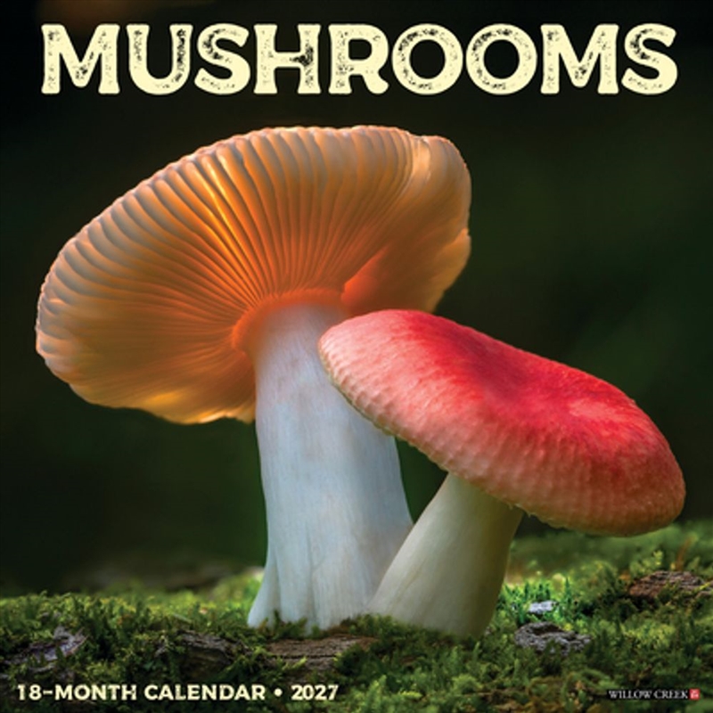 Mushrooms 2027 Wall Calendar/Product Detail/Calendars & Diaries