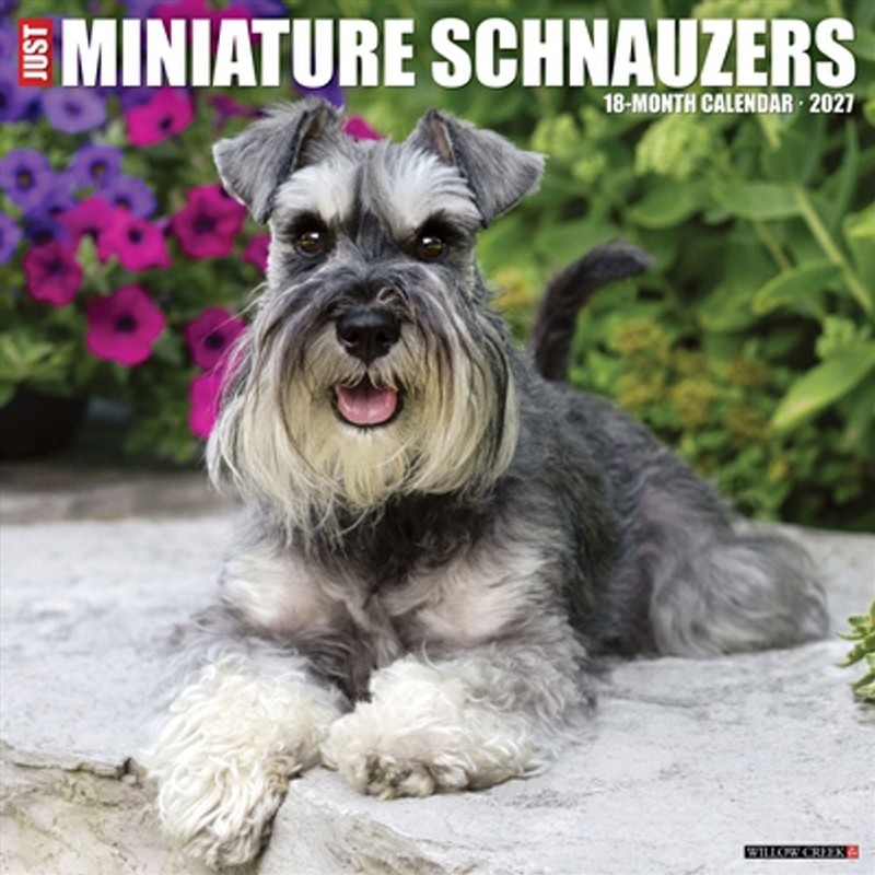 Miniature Schnauzers 2027 Wall Calendar/Product Detail/Calendars & Diaries