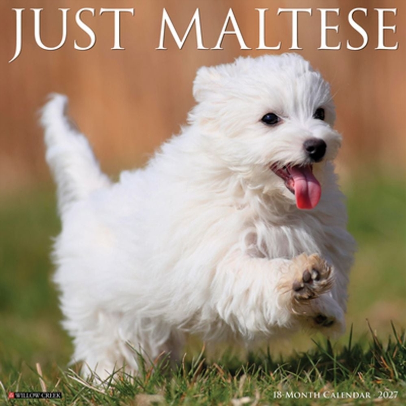 Maltese 2027 Wall Calendar/Product Detail/Calendars & Diaries