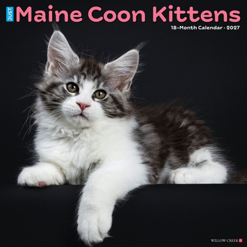 Maine Coon Kittens 2027 Wall Calendar/Product Detail/Calendars & Diaries