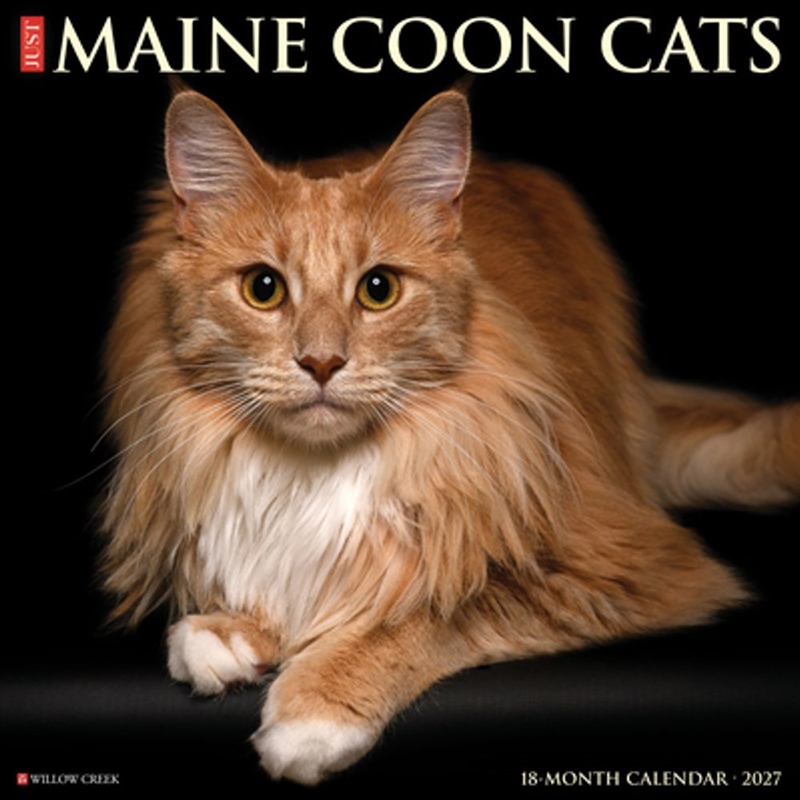 Maine Coon Cats 2027 Wall Calendar/Product Detail/Calendars & Diaries
