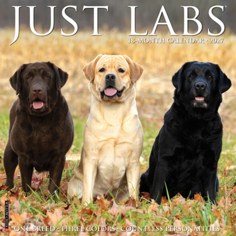 Labs 2027 Wall Calendar/Product Detail/Calendars & Diaries