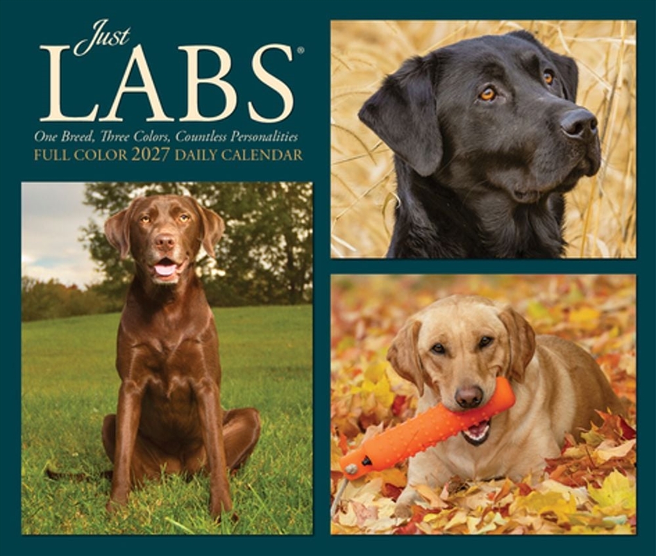 Labs 2027 Box Calendar/Product Detail/Calendars & Diaries