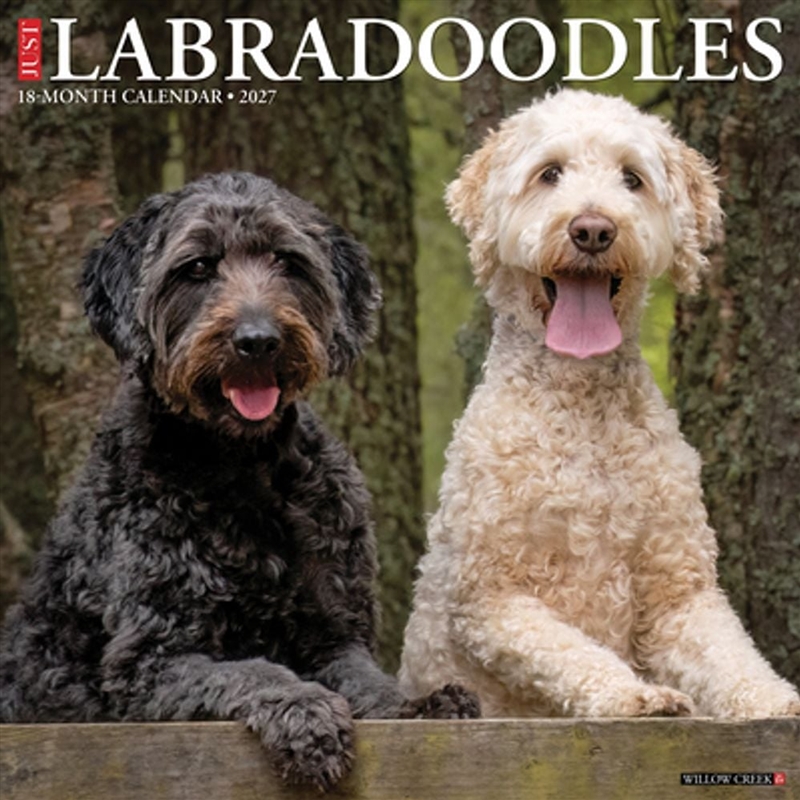Labradoodles 2027 Wall Calendar/Product Detail/Calendars & Diaries