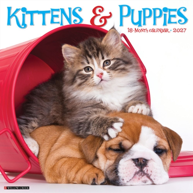 Kittens & Puppies 2027 Wall Calendar/Product Detail/Calendars & Diaries