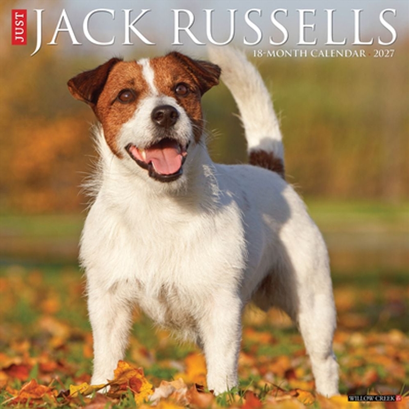 Jack Russells 2027 Wall Calendar/Product Detail/Calendars & Diaries