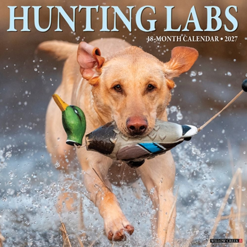 Hunting Labs 2027 Wall Calendar/Product Detail/Calendars & Diaries