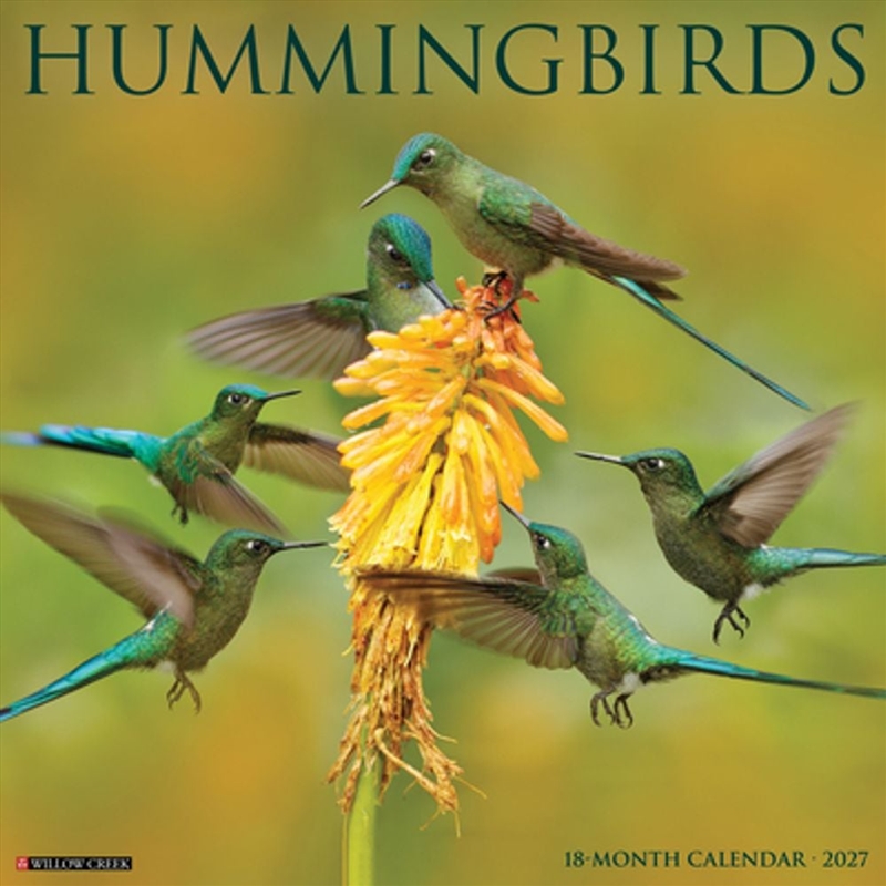 Hummingbirds 2027 Wall Calendar/Product Detail/Calendars & Diaries