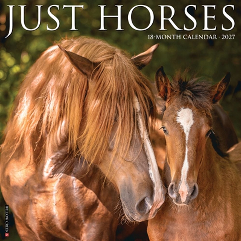 Horses 2027 Wall Calendar/Product Detail/Calendars & Diaries