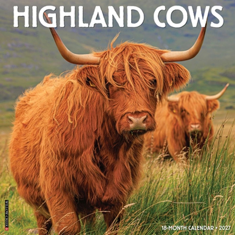 Highland Cows 2027 Wall Calendar/Product Detail/Calendars & Diaries
