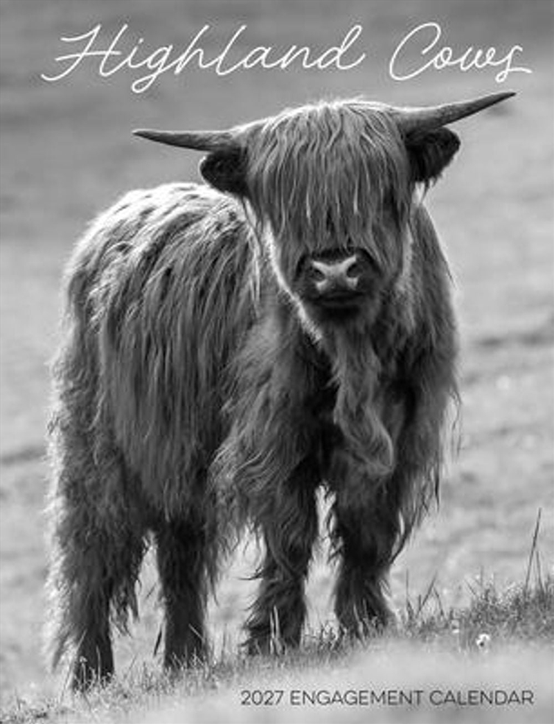 Highland Cows 2027 Engagement Calendar/Product Detail/Calendars & Diaries