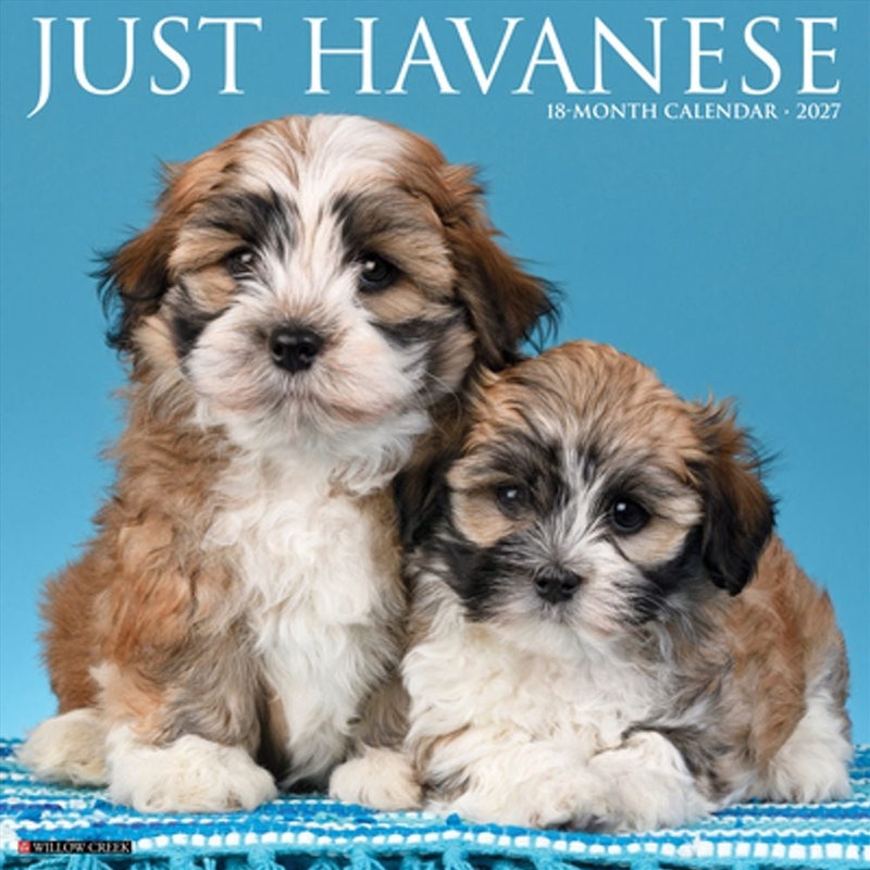 Havanese 2027 Wall Calendar/Product Detail/Calendars & Diaries